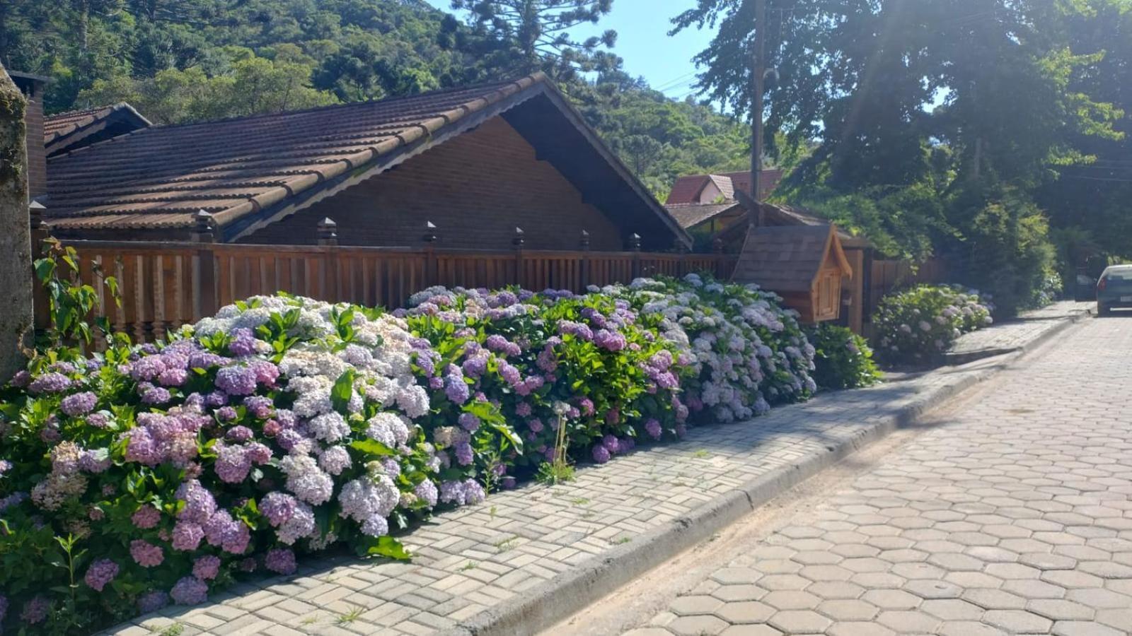 Chale Aroma Da Serra Monte Verde  Luaran gambar